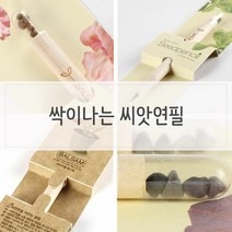 CMJ GBW28F173 흥미유발 싹이나는 씨앗연필 식물인테리어 화분 거실 인테리어 미니 키우기쉬운식물 거실인테리어 실, 도매24 바질