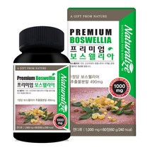 관절 연골 보스웰리아 정 보스웰리아가루 분말 고농축 보수엘리아 추출물 캡슐 식약처 인도 보스웰릭산 보스웰리아찜질 덩어리 무릎 관절건강 셀렌 비타민D 효능, 1개