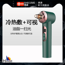 블랙헤드 흡입 전동 자석흡입기 냉온찜질 모공청정기, 그린 [냉온찜질+가시]