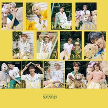 [미개봉] D-icon 디아이콘 vol.12 세븐틴(SEVENTEEN) MY CHOICE IS..., 디노
