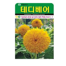 SN월드 야생화 씨앗 꽃씨앗 모음, 야생화 - 테디베어(10립)