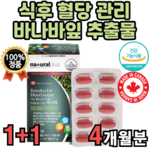 바나나잎 바나바잎 크로솔산 코로솔산 코르솔산 캐나다 직수입 직구 HBCC 추출물 슈가 블러드 blood sugar 정 비타민c 건강 기능 식품 아연 셀렌 식약처 인증 식약청 인정, 120정(4개월분)