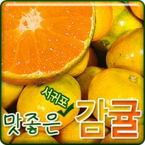 서귀포농원 첫수확 노지감귤 5kg 10 kg, 1개, 고당도 감귤 5kg소과(2S)