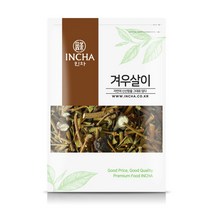 국내산 겨우살이 곡기생 300g 겨우살이차, 단품, 단품