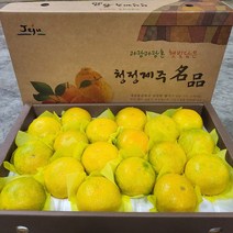 산지직송 고당도 제주 황금향 가정용 선물용, 2kg 가정용 꼬마과 (15과 내외)
