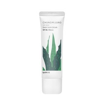 청미정 데일리 촉촉한 끈적이지않는 자외선차단 썬크림 50g, 청미정 데일리 썬크림 50g