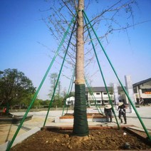 과수받침대 나무 지주대 지지대 조경 묘목 프레임 랙, 관 직경5cm 2m길이지지대(방청/부식방지형)