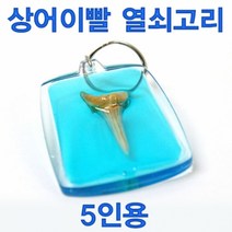 상어이빨 열쇠고리(5인용) JST, 1
