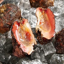 통영 돌멍게 1kg 4-7미x1, 없음