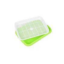 나를그리다 모종트레이 새싹판 싹채소판, 퍼플