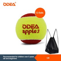에어로그 공기주입식 팝업 에어텐트odea kids children tennis ball with bag 122436 5세, 12 볼