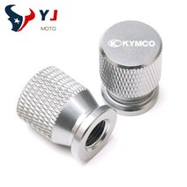 오토바이 바이크 CNC 알루미늄 타이어 밸브 에어 포트 커버 캡 액세서리 KYMCO Xciting 250 300 400 AK550 CT250 CT300 S400 DOWNTOWN, 은