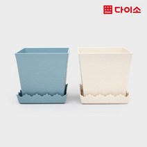 [다이소]신사각레이스PP화분받침세트-1030166, 1개