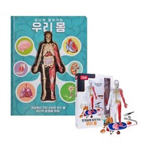 [YES24] 하나씩 알아가는 우리몸 + 인체모형