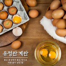 유정란 계란 초란 무항생제 달걀 30구 1판 특 대란 일반란, 유정란 초란 30구 - 1판(난각2번)