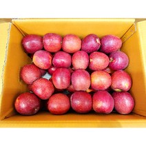 동현팜 찐맛 선물용 프리미엄 부사(미얀마)사과 !!!, (40~45과), 6) 동현팜 가정용 프리미엄 부사(미얀마) 10kg