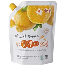 꽃샘 별난알맹이 한라봉 과일청 농축액 500g, 2개