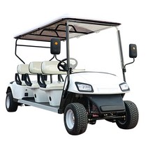 골프장 전기차 관광 차량 4 륜 전동 호텔 리셉션, 1.72V 이상, 1.고객 서비스에 문의