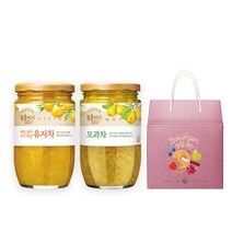 복음자리 과실차 실속형 선물세트 (유자 모과 생강 대추 배도라지 민트유자 쌍화), 모과차480g+생강차470g