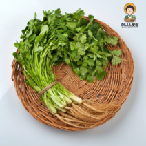 향신료고수 고수나물 고수풀 쌀국수 마라탕 훠궈재료 향채소 고수잎 1단 1kg, 고수잎2kg