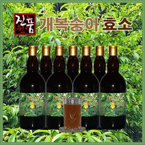 장녹원 개복숭아효소 1100ml, 2병