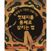 이노플리아 멧돼지를통째로삼키는법-22 네버랜드지식그림책, One color | One Size@1