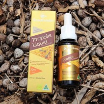 굿콤보 프로폴리스 원액 60% 30ml (호주 함량), 1개