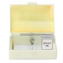 현미경관찰 양파 표피세포 프레파라트 핵관찰 5개 기초과학 출강용 초등교구 도구