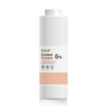 LASAEM 라샘 엘에스 디벨로퍼 산화제 6% 1000ml, 1개