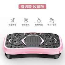 파워플레이트운동 쉐이크보드 음파진동기 진동 운동기구덜덜이 운동기 효과, A.기본 99단