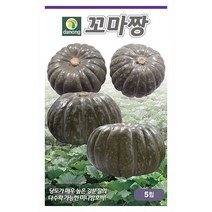 꼬마짱호박 씨앗 5립 밤호박 미니호박씨앗 호박씨앗 조선호박 채소씨앗 야채씨앗 재배, 02_다농_꼬마짱미니단호박(5립)