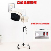 염색증기 헤어스팀기, Type D (With Cap)