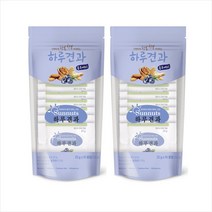 썬넛트 하루견과 블루베리(25gx10개)x2개