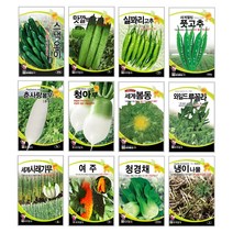 오이씨앗 아삭한 주렁주렁 미니 청스낵오이 노각 백다다기 종자 씨앗몰 봄 재배 키우기 심기 텃밭가꾸기 웰빙 쌈채소 궁채나물 줄기상추 씨앗, 옥수수 80립(백광찰옥수수)