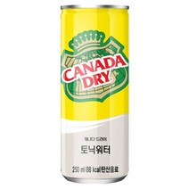 콜라 카나다드라이 토닉워터, 250ml, 60개