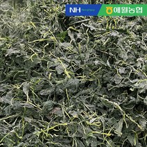 [제주직송] 애월농협 해풍맞고 자란 제주 건취나물 80g 1봉, 1박스, 80g x 1(봉)