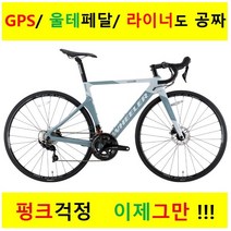 [휠러코리아] RWC 500D 700C 22단 카본 로드 자전거 2022, 43