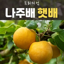 프리미엄 나주배 22년 신고배 5kg 8-10과