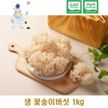 친환경 생꽃송이버섯 청정재배 국내산 최상급 1kg, 부직포 선물포장, 2개