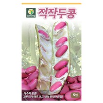 적작두콩 5립 작두콩씨 콩씨 씨앗 대장 다농, 단품없음