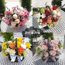 갈매꽃배달 갈매꽃집 꽃바구니, 02 빨강꽃바구니