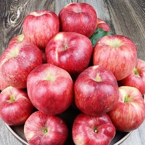 사과선물용부사 청송꿀사과 청송사과유명한곳, 고급 선물용 10kg