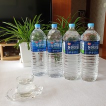 심층암반수 생수2L 생수500ml 천연 알카리수 미네랄워터 먹는샘물, 30개, 2L