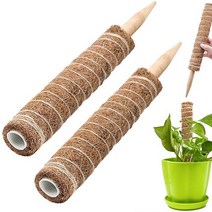 몬스테라 식물 화분 지지대 수태봉 코코봉 코코넛봉 지주대, 30cm 수태봉