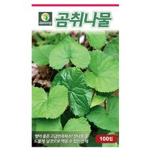 브랜드없음 다농곰취나물씨앗 1000립[WD], 없음, 단품없음