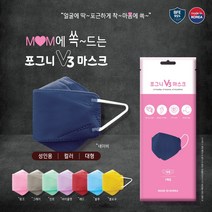 국내생산 포그니 V3 컬러 마스크 대형 4중필터 개별포장-네이비, 네이비, 1장