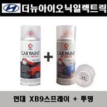 현대 더뉴아이오닉일렉트릭 XB9 바이오필릭블루 주문스프레이 + 투명스프레이 자동차 도색 차량용 카페인트, XB9 스프레이(제일)+투명스프레이(제일)