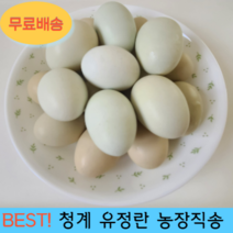 친환경 무항생제 자연방사 청란 청계란 유정란 농장직송 천상의컬렉션, 1개, 20구