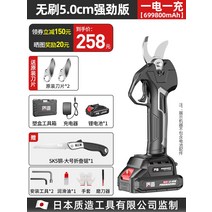 가위 전동 전지가위 보쉬 충전식 무선 SUCA BOSCH 가지치기 전동전지가위 칼, 1