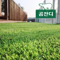 곰잔디 인조잔디 베란다 정원 옥상 마당 테라스 셀프시공 조경 매트 발코니 야외 실내 인테리어, 곰잔디 22mm